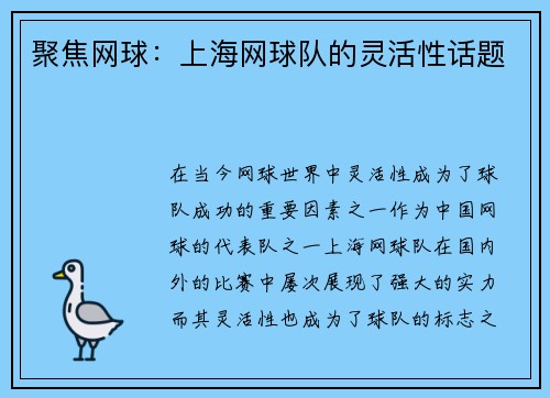 聚焦网球：上海网球队的灵活性话题