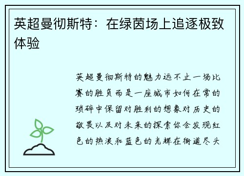 英超曼彻斯特：在绿茵场上追逐极致体验