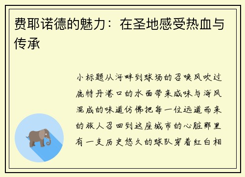 费耶诺德的魅力：在圣地感受热血与传承